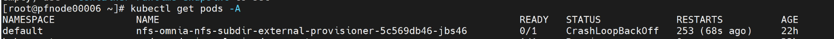 ../_images/NFS_crash_loop_back_off_error.png